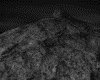 IMG688.GIF.gst.iff