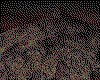 IMG688.GIF.cst.iff
