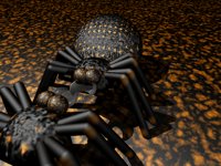 IMG680.GIF
