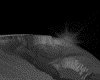 IMG679.GIF.gst.iff