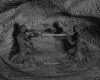 IMG678.GIF.gst.iff