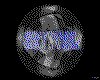 IMG665.GIF.cst.iff