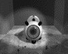 IMG659.GIF.gst.iff
