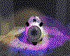 IMG659.GIF.cst.iff