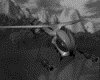IMG657.GIF.gst.iff