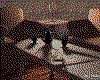 IMG655.GIF.cst.iff