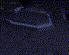 IMG653.GIF.cst.iff