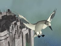 IMG651.GIF
