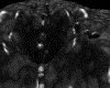 IMG643.GIF.gst.iff