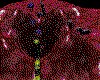 IMG643.GIF.cst.iff