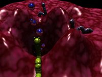 IMG643.GIF