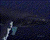 IMG641.GIF.cst.iff
