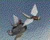 IMG639.GIF.cst.iff