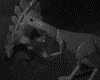 IMG638.GIF.gst.iff