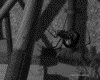 IMG636.GIF.gst.iff