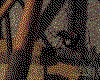 IMG636.GIF.cst.iff