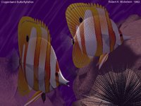 IMG614.GIF