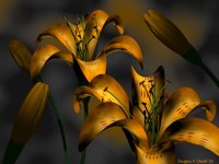 IMG610.GIF