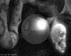 IMG607.GIF.gst.iff