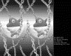 IMG605.GIF.gst.iff