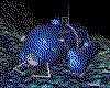 IMG603.GIF.cst.iff