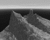 IMG598.GIF.gst.iff