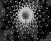 IMG590.GIF.gst.iff