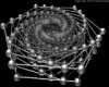 IMG583.GIF.gst.iff