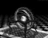 IMG579.GIF.gst.iff