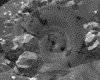 IMG577.GIF.gst.iff