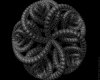 IMG571.GIF.gst.iff