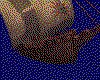 IMG563.GIF.cst.iff