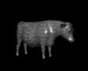 IMG562.GIF.gst.iff