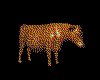 IMG562.GIF.cst.iff