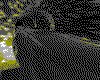 IMG560.GIF.cst.iff