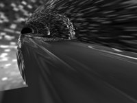 IMG560.GIF