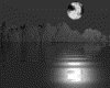 IMG559.GIF.gst.iff