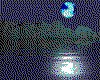 IMG559.GIF.cst.iff