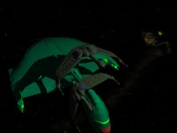 IMG553.GIF