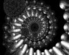 IMG550.GIF.gst.iff
