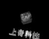 IMG547.GIF.gst.iff