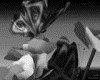 IMG543.GIF.gst.iff