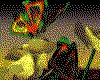 IMG543.GIF.cst.iff