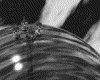 IMG535.GIF.gst.iff