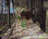IMG530.GIF.cst.iff