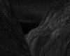 IMG523.GIF.gst.iff