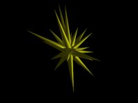 IMG520.GIF