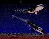 IMG519.GIF.cst.iff