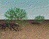 IMG515.GIF.cst.iff