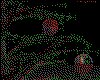 IMG514.GIF.cst.iff
